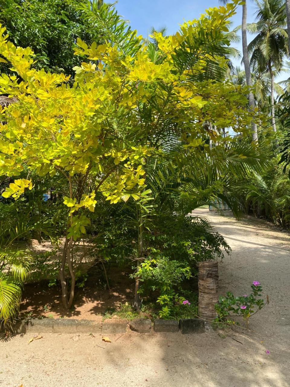 Elena Garden Resort And Restaurant Trincomalee Exterior foto